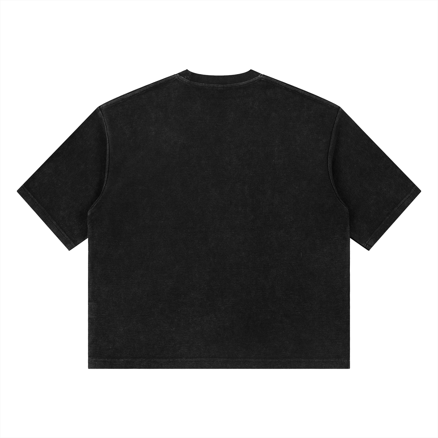 THE WORLD OR THE WORD T-SHIRT